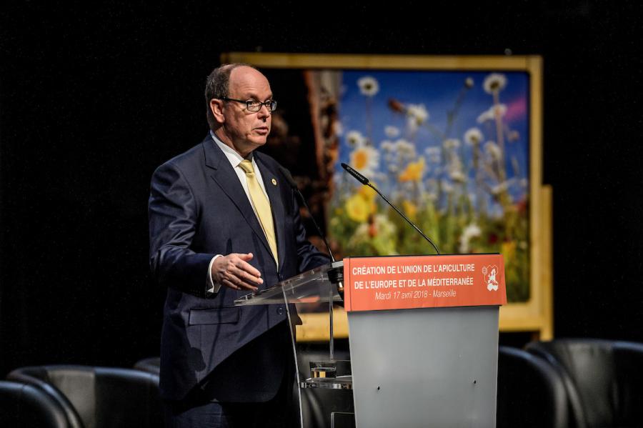 SAS Le Prince Albert II de Monaco.jpg