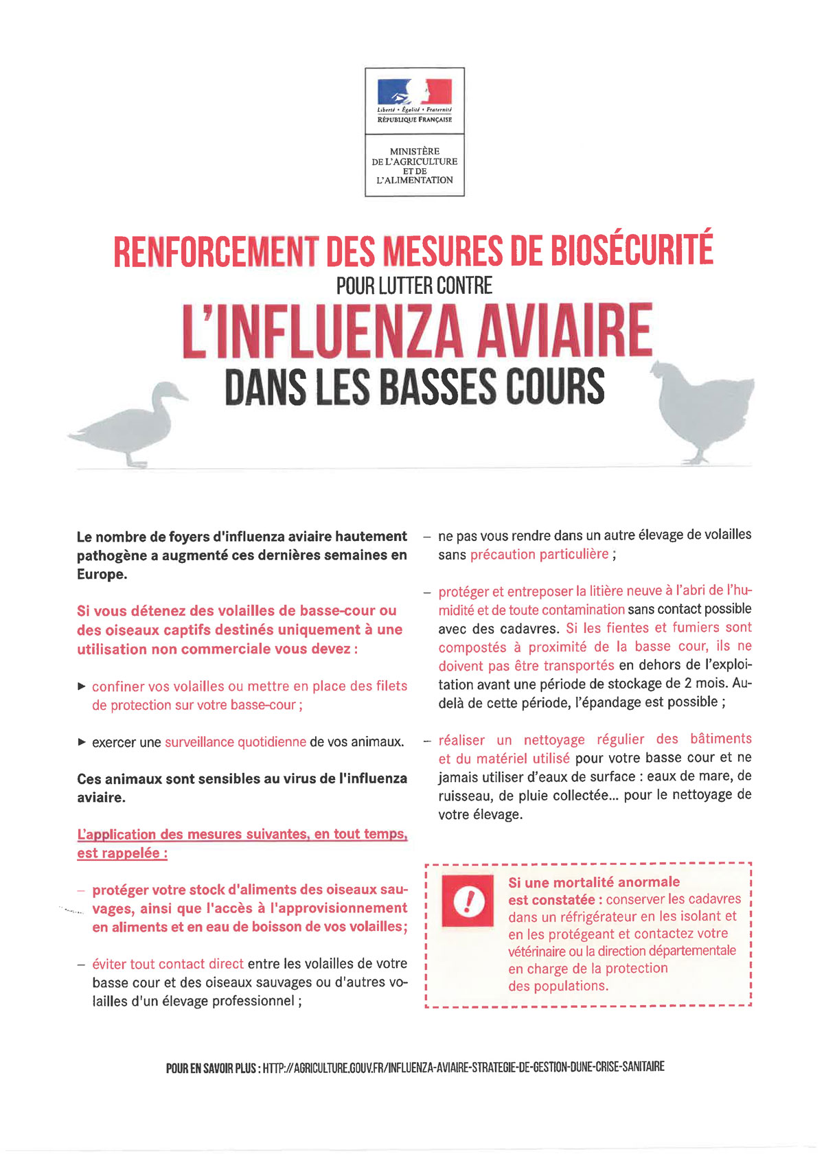 Influenza-Aviaire.jpg
