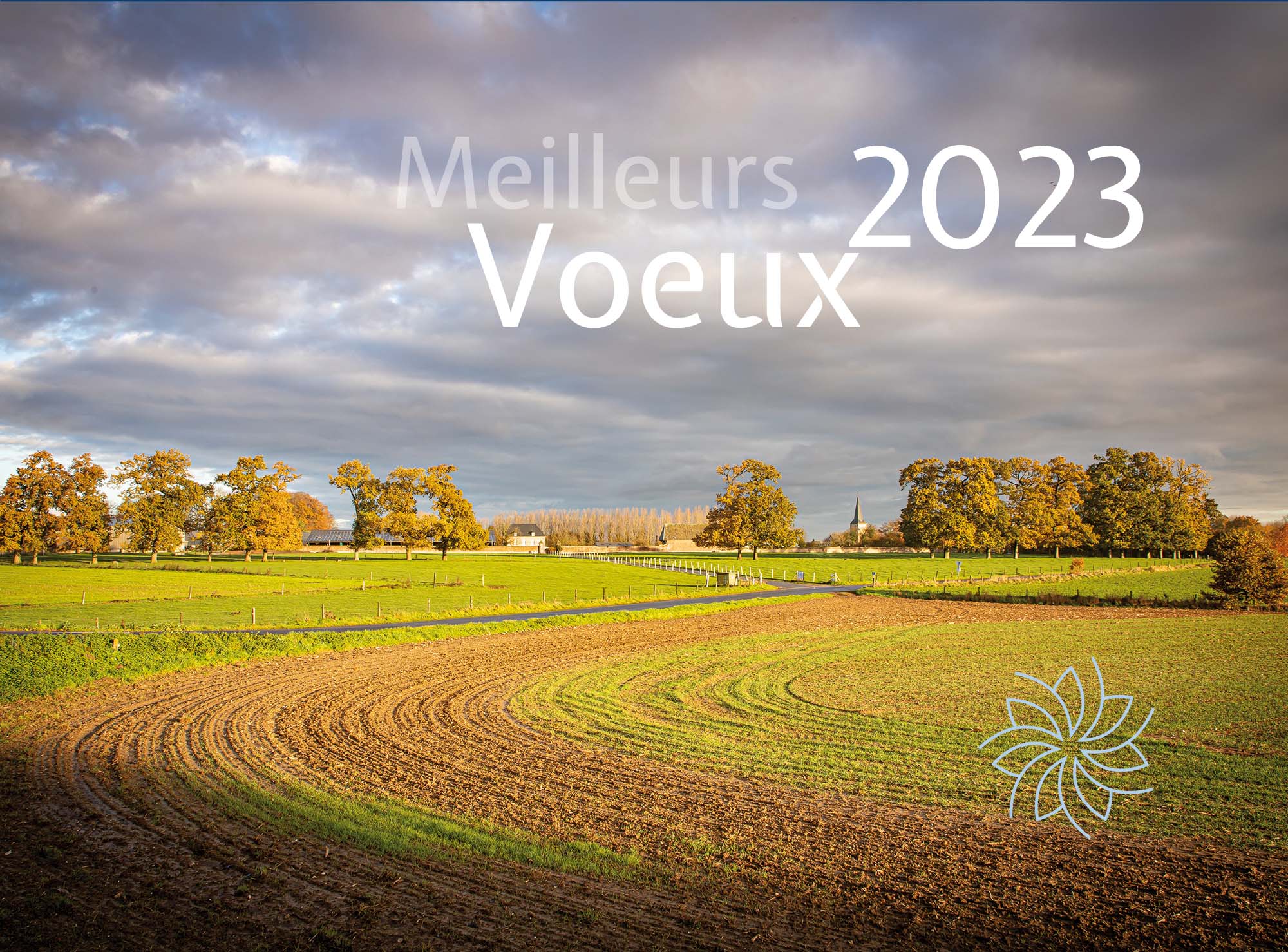 TDC-Carte de voeux 2023-web.jpg