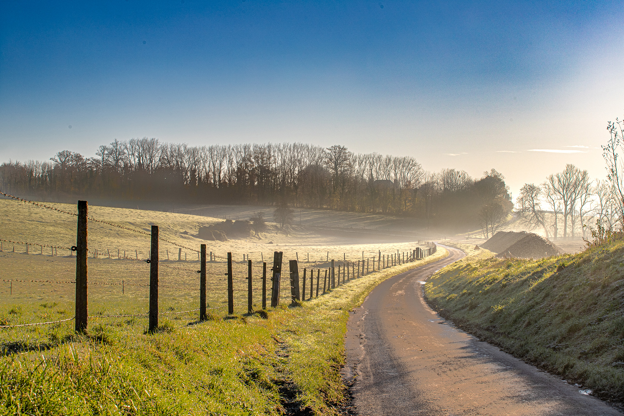 IMG_9482-HDR-M.jpg
