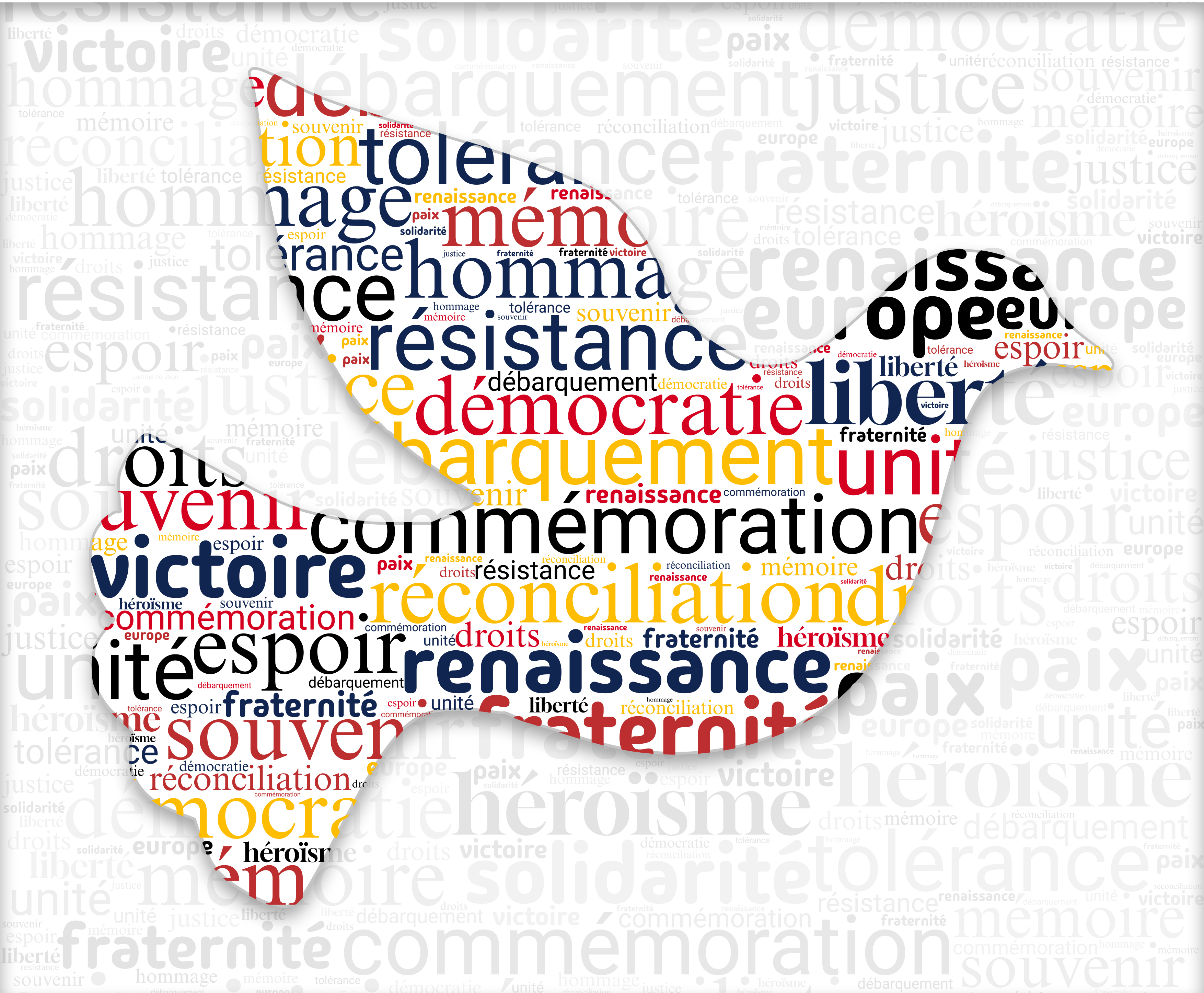 Colombe avec fond.jpg