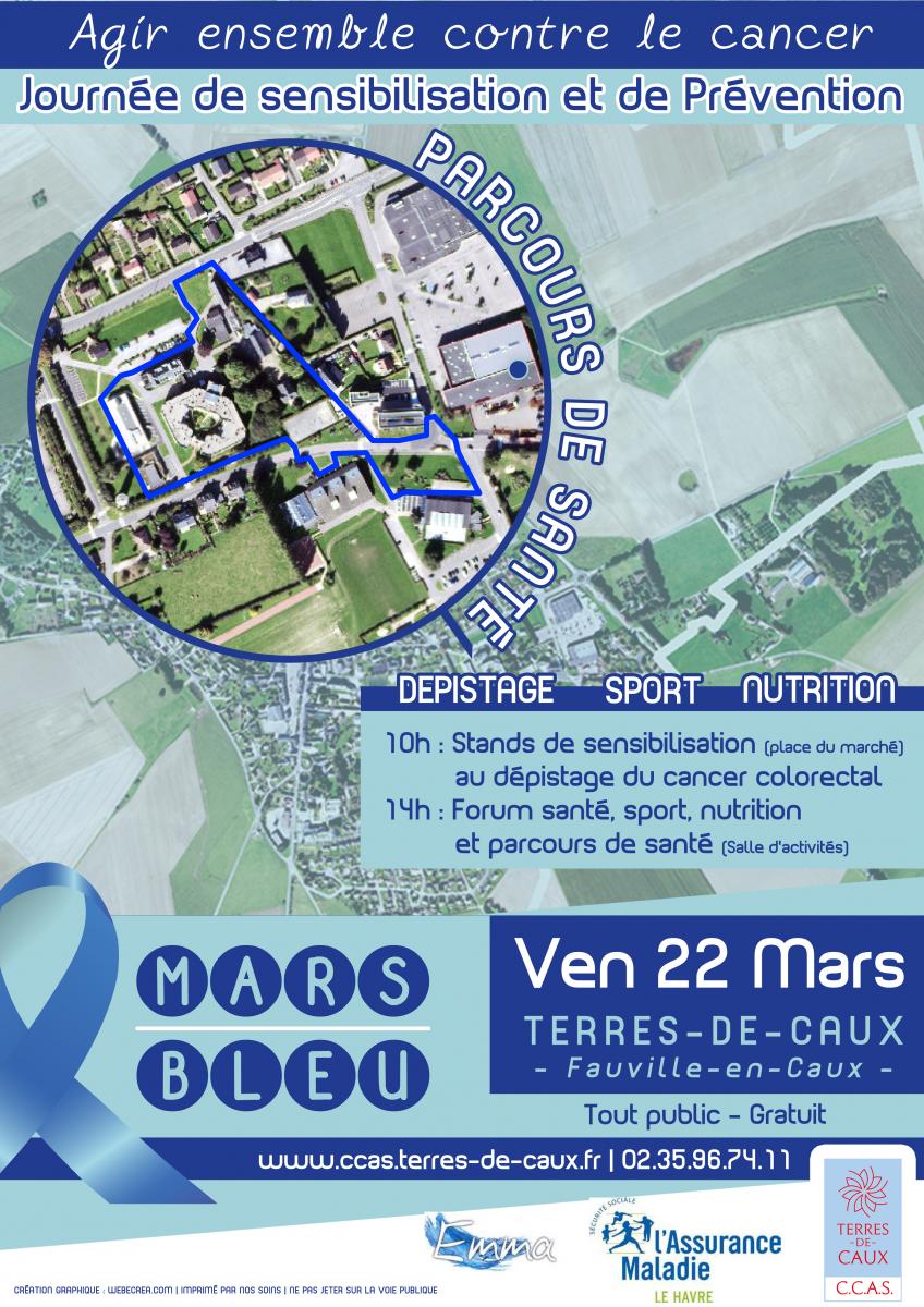 Affiche-Mars Bleu.jpg
