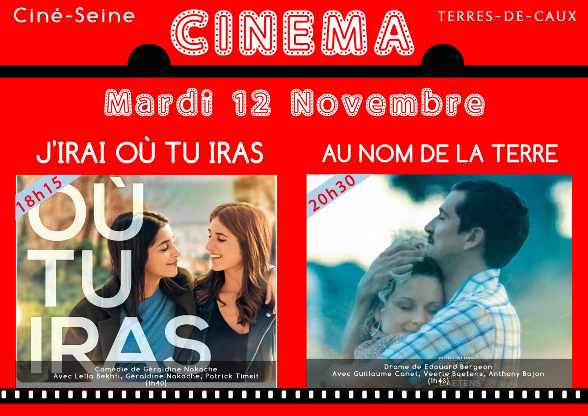 Affiche Cinéma-Modèle-A4-H.jpg