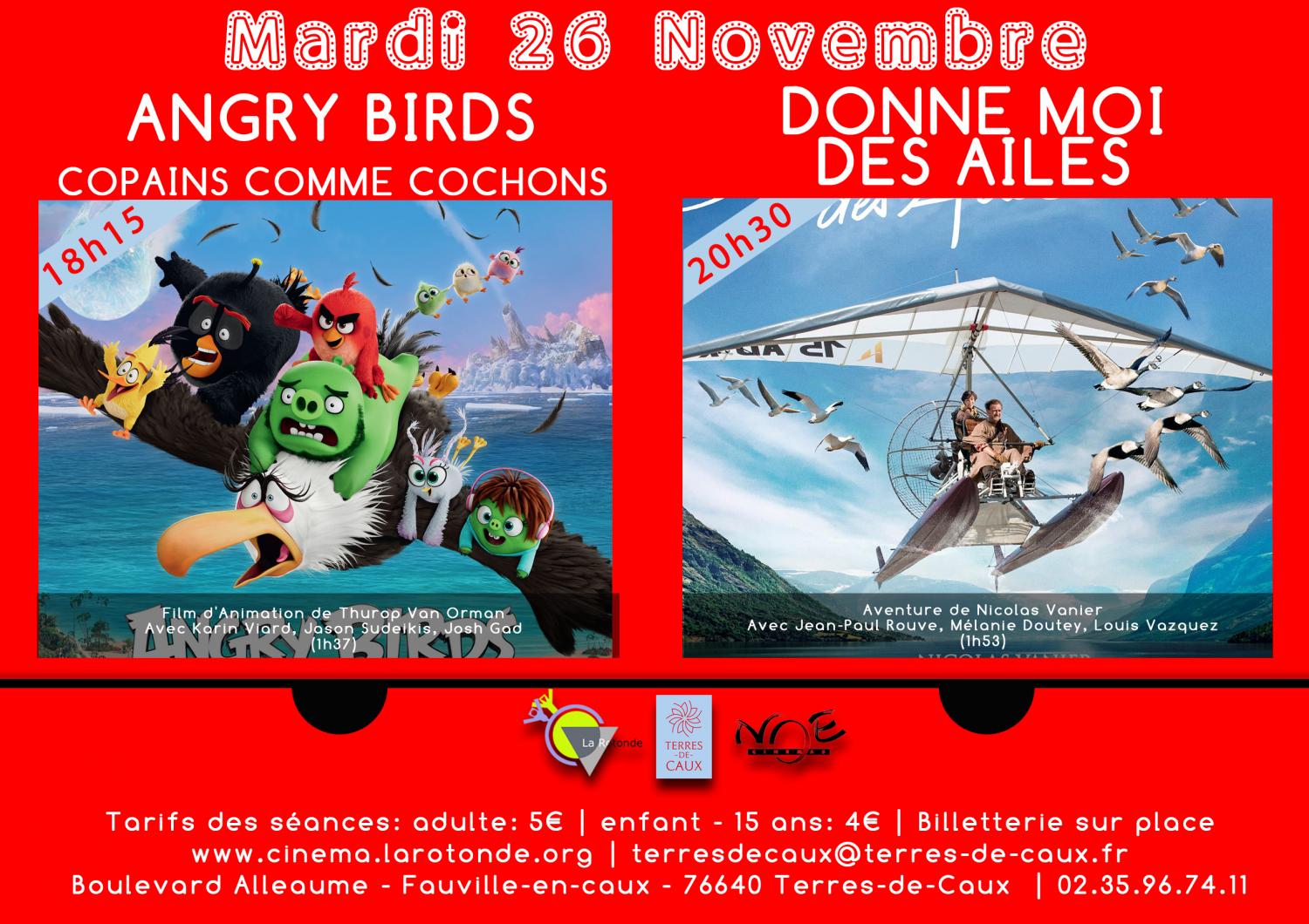 Affiche Cinéma-Modèle-A4-B.jpg