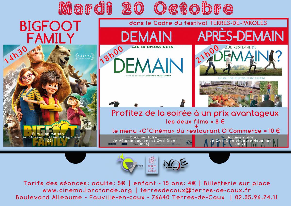 Affiche Cinéma-Modèle-A2-Bas.jpg